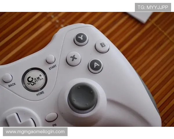 新博亚洲官网多样化的游戏类型满足不同玩家的娱乐需求分析