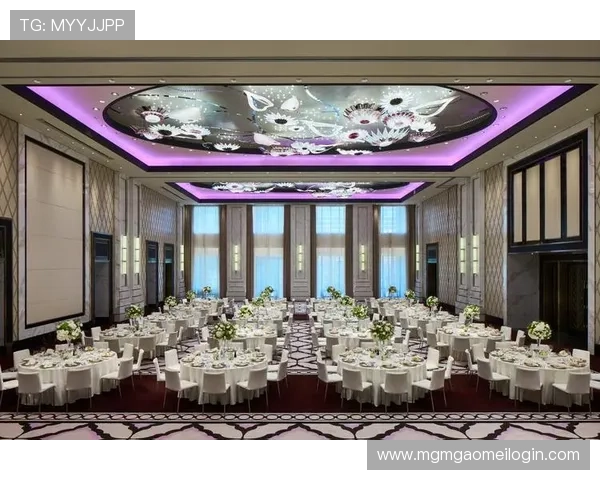 梅高美娱乐公司网站多平台兼容性与移动端体验优化策略