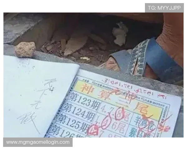 澳门六合彩旗舰平台稳定可靠的技术保障，确保每次投注都顺畅无阻